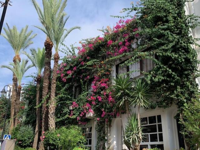 Rincon De Vera - Atico Exterior photo