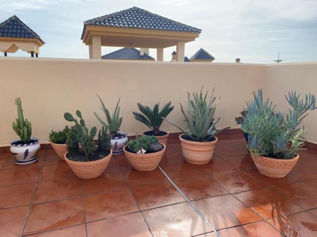 Rincon De Vera - Atico Exterior photo